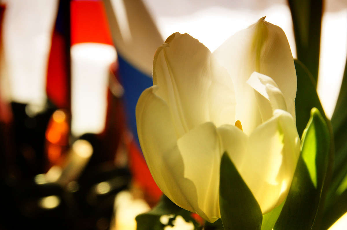 ����� ������� ���� ����� �������  �� PhotoGeek.ru #�������� ����������