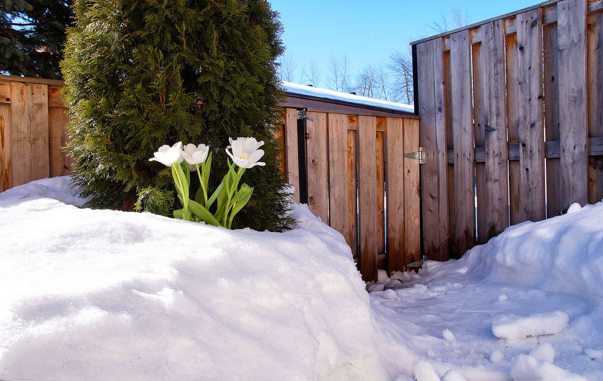 � ����������, ����!!! ����� �������  �� PhotoGeek.ru #�������� ����������