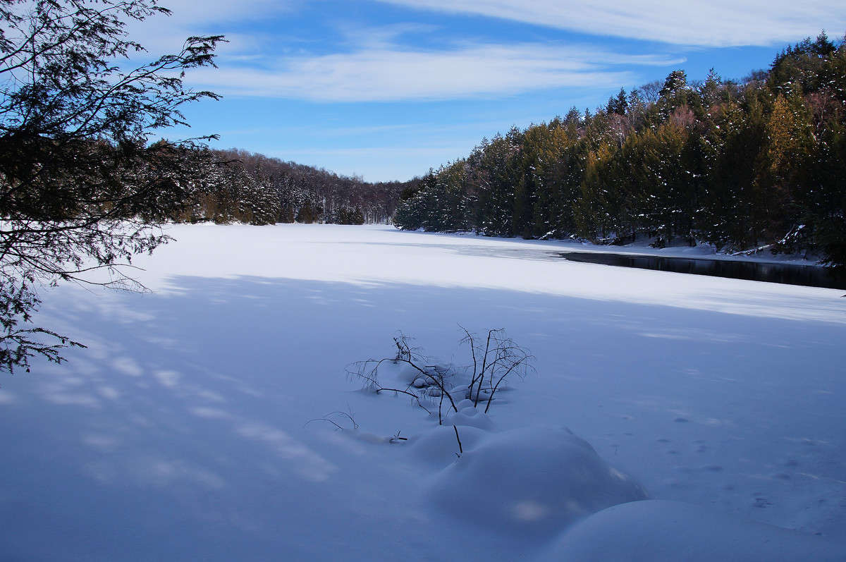 ������� ����� ������� ����� ����� �������  �� PhotoGeek.ru #������ ��� �������