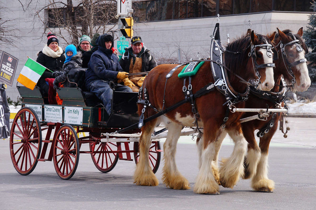 ������� ���������� ��������� ����� ����� �������  �� PhotoGeek.ru #�������� ����������