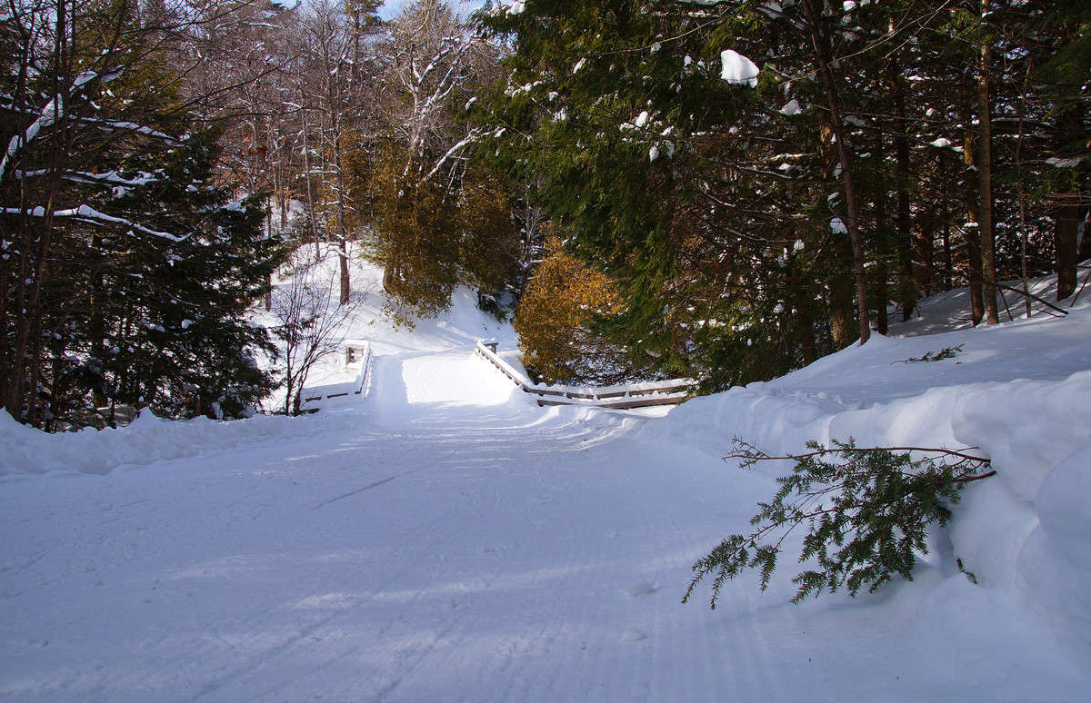 ������������� ����� ����� �������  �� PhotoGeek.ru #������ ��� �������