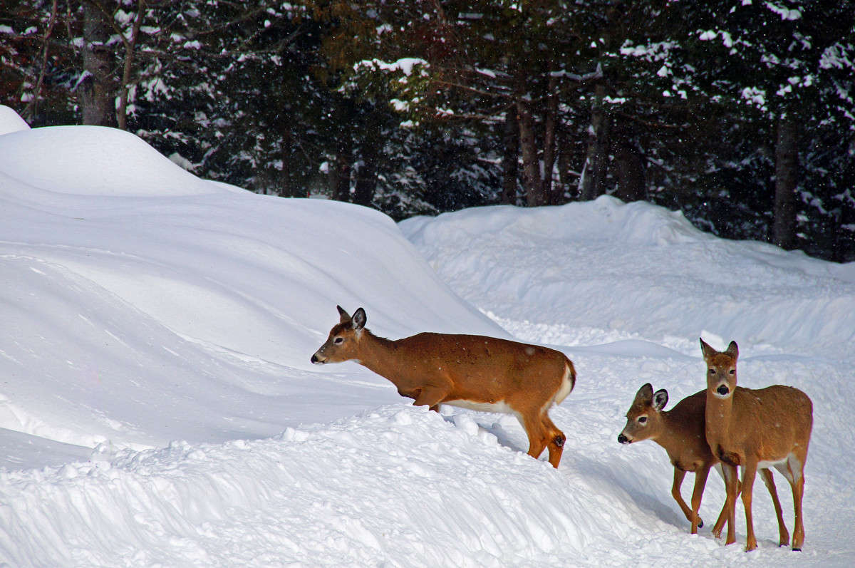 ���� ������� �� ��� ��� ����� �������  �� PhotoGeek.ru #�������� ��� #������ ��� �������
