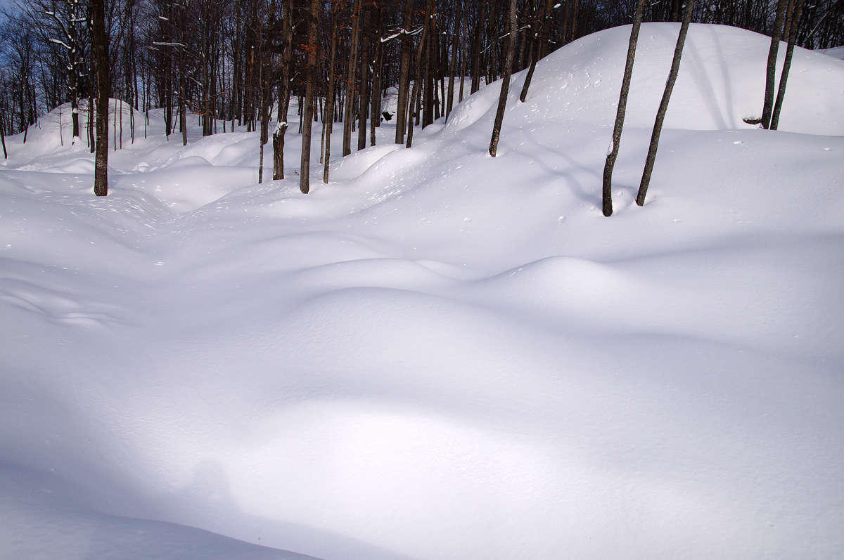 �� ���� ����� �������  �� PhotoGeek.ru #������ ��� �������