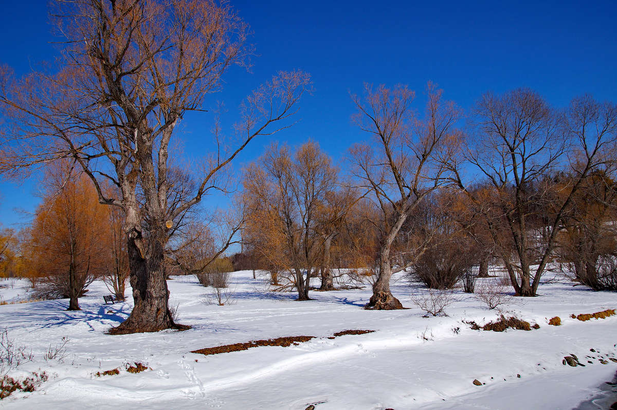 ������ � ������ ����� �������  �� PhotoGeek.ru #������ ��� �������