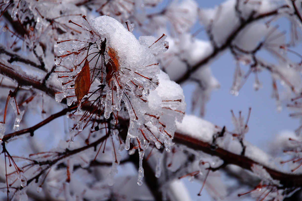 ������� ��� ����� �������  �� PhotoGeek.ru #������ ��� �������