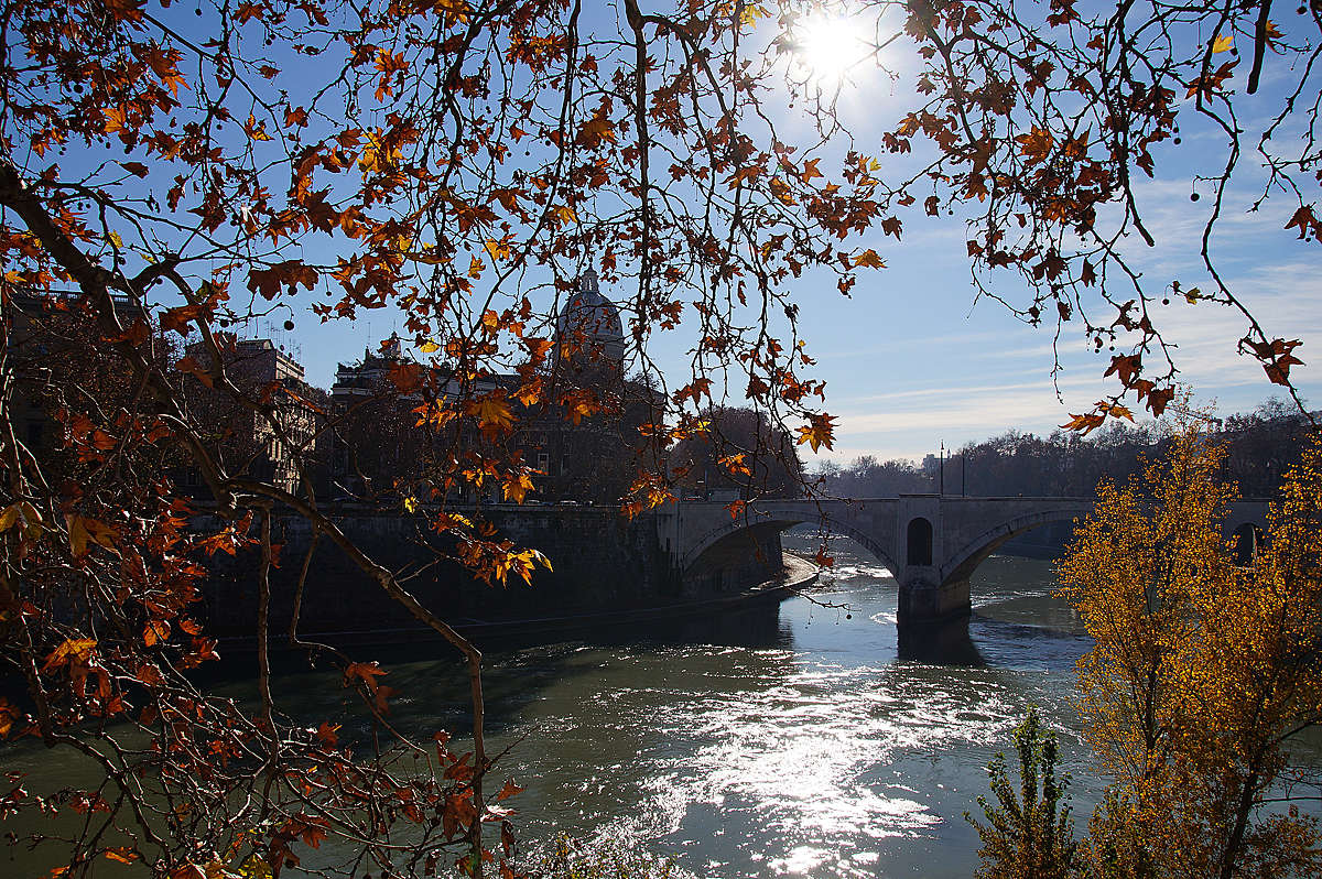 ����� ��������� ������� ����� ����� �������  �� PhotoGeek.ru #�����