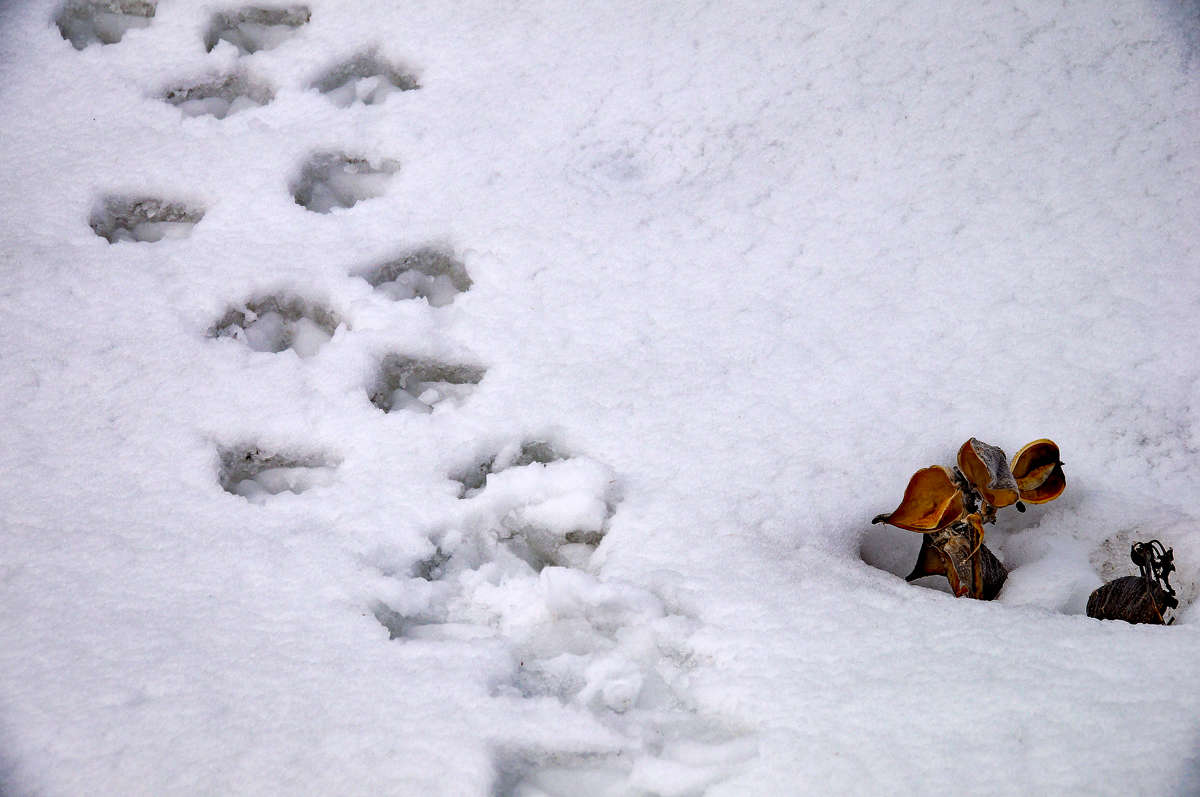 ������� ����� ����� �������  �� PhotoGeek.ru #�������� ��� #������ ��� �������