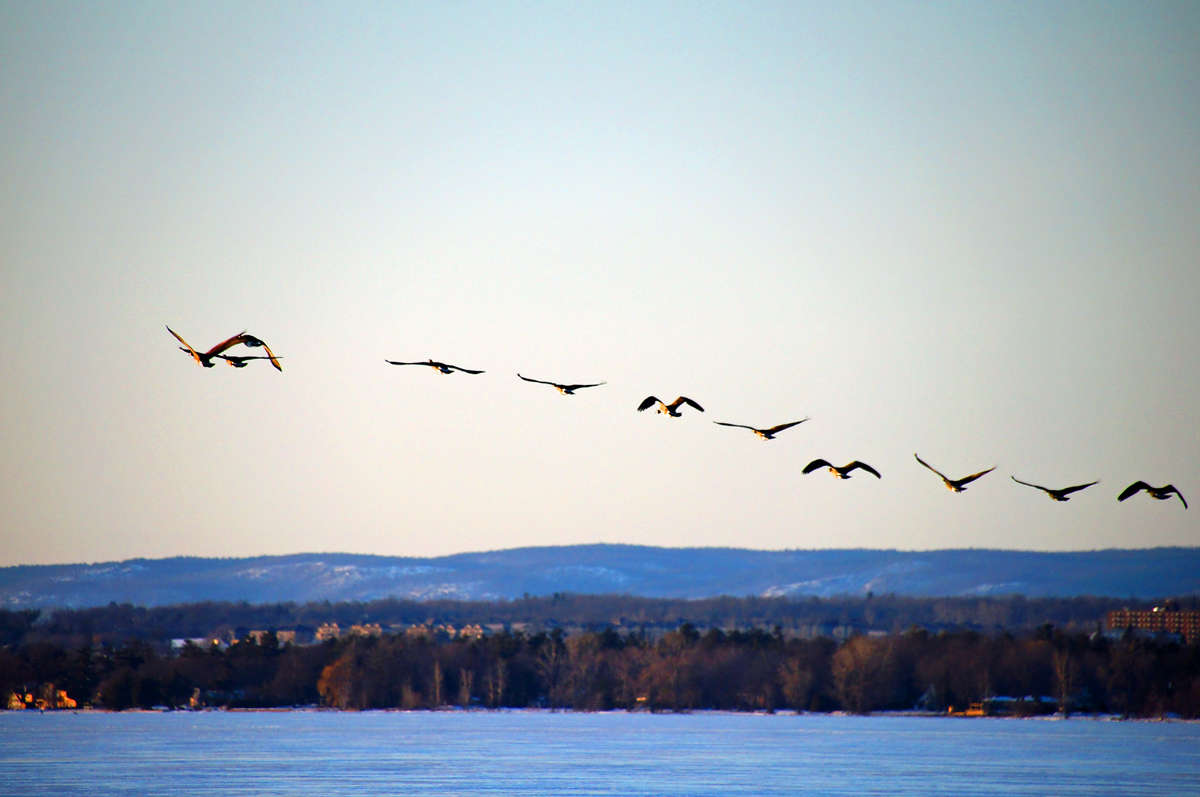 ���� �� ���� ����� ����� �������  �� PhotoGeek.ru #�������� ��� #������ ��� �������