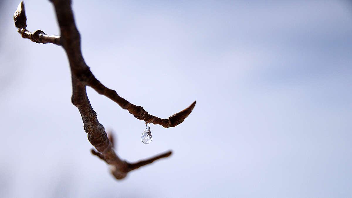 �������� ����� ����� �������  �� PhotoGeek.ru #������ ��� �������