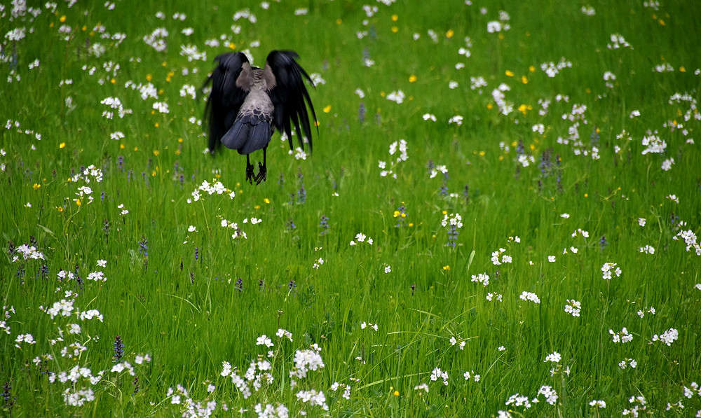 ������ �� ������� ����� �������  �� PhotoGeek.ru #�������� ���