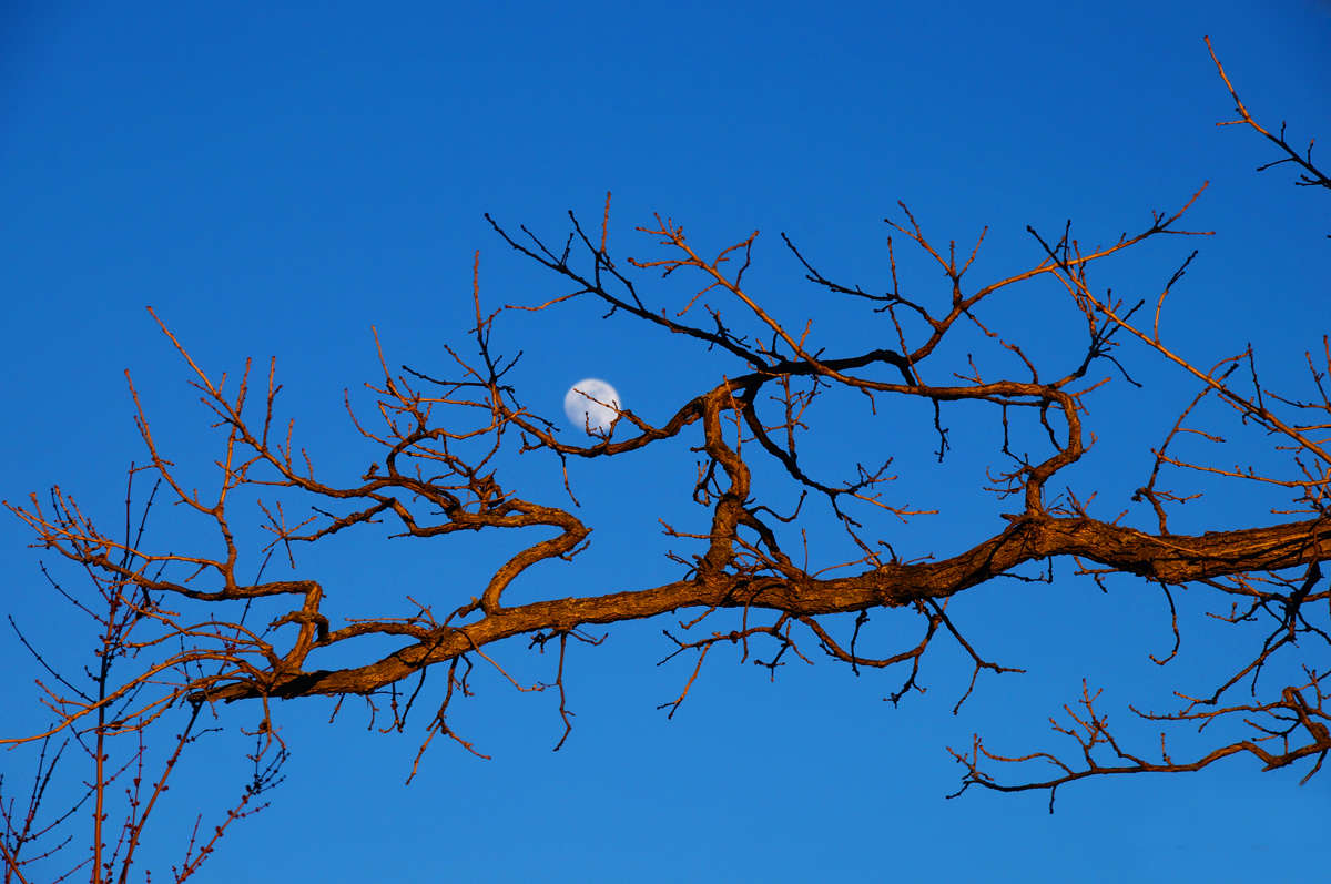 ������ ����� ����� �������  �� PhotoGeek.ru #������ ��� �������