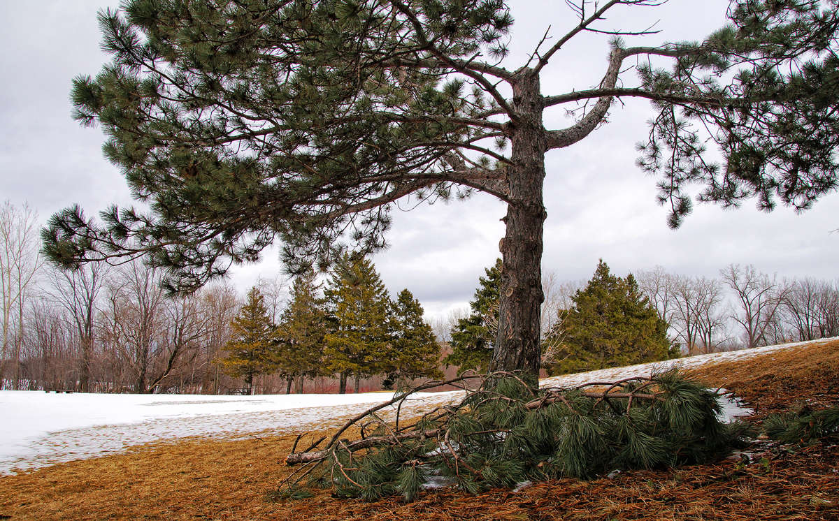 �������� ���� ������ ����� �������  �� PhotoGeek.ru #������ ��� �������