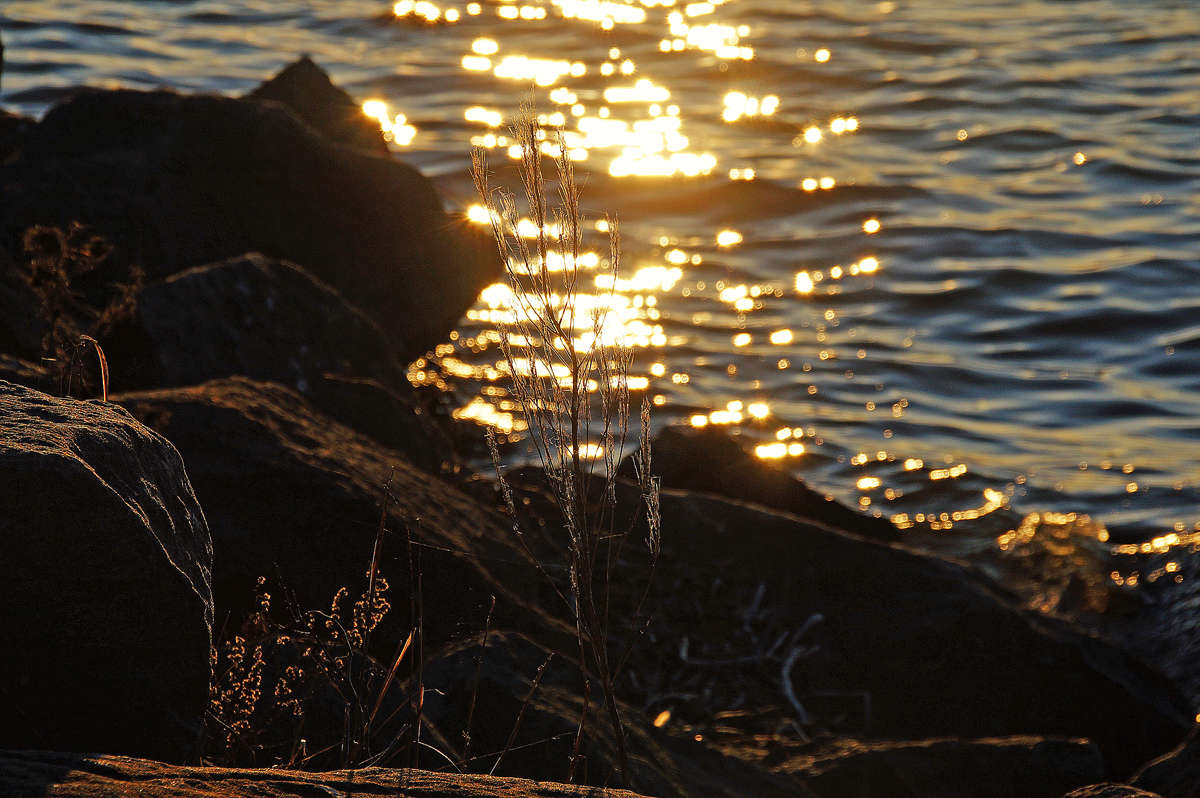 �� �� ���� ����� �������  �� PhotoGeek.ru #������ ��� �������