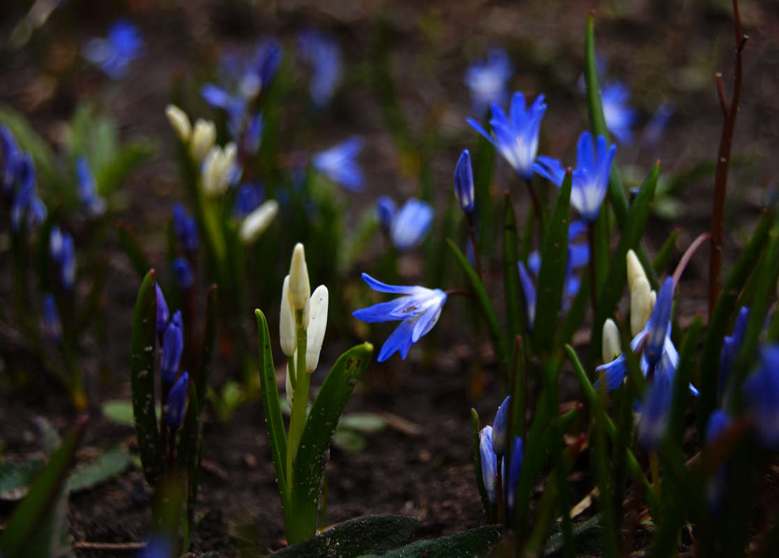 ���������� ����� ����� �������  �� PhotoGeek.ru #������ ��� �������