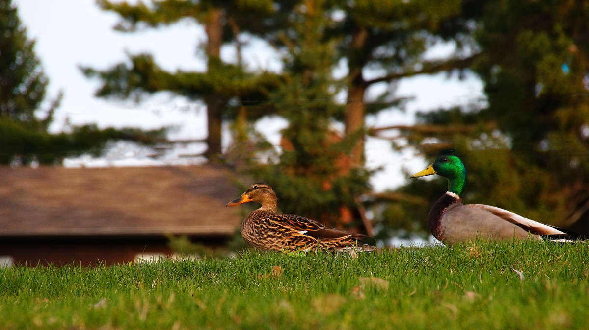 ����� ���� ����� ����� �������  �� PhotoGeek.ru #�������� ���