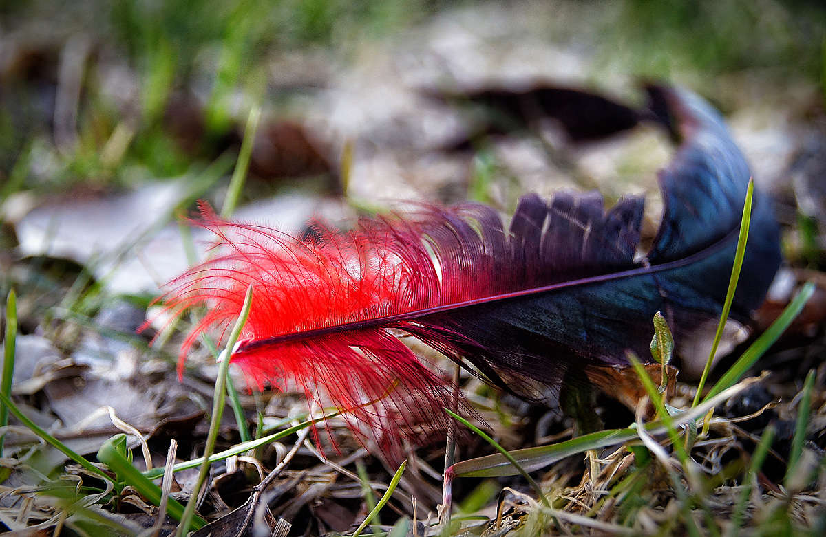 ����������� ����� �������  �� PhotoGeek.ru #�������� ���