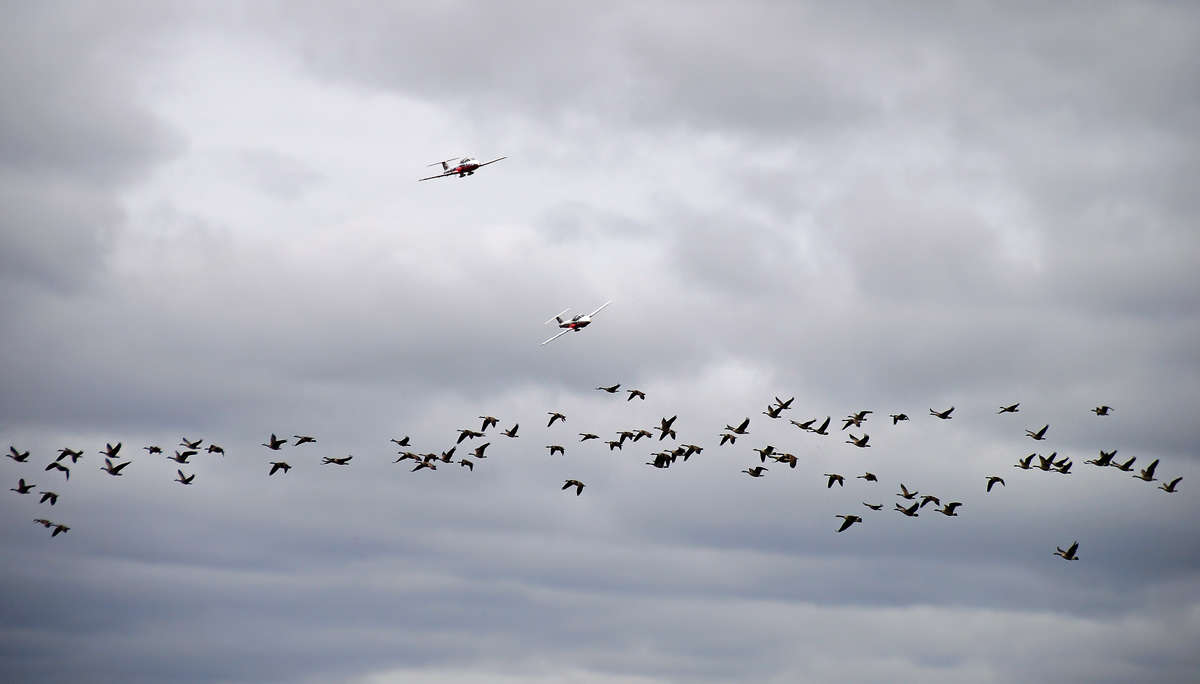 �� ���� ����� �������  �� PhotoGeek.ru #�������� ��� #�������� ����������