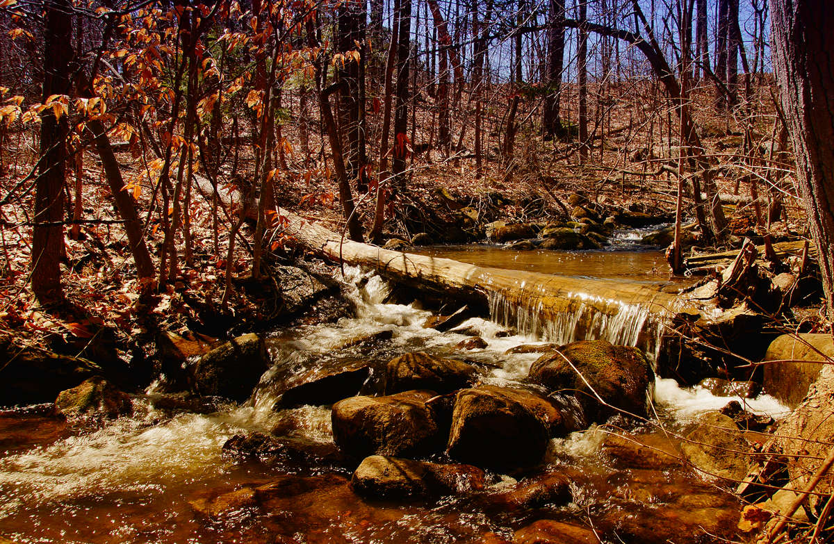 �� ������ ������ ����� �������  �� PhotoGeek.ru #������ ��� �������