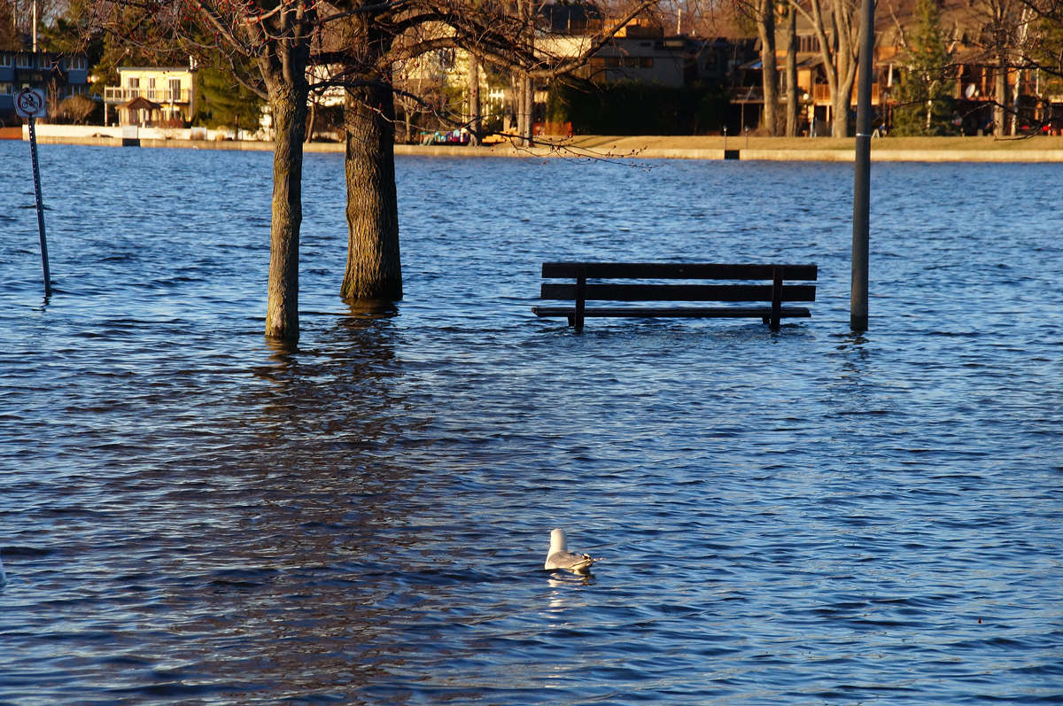�������� ������������ ����� �������  �� PhotoGeek.ru #�������� ��� #������ ��� �������