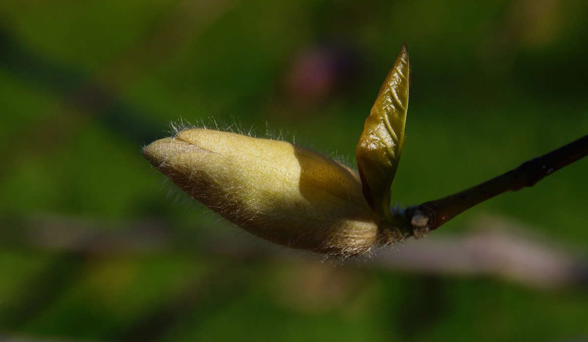 ��������-�����. ����� �������  �� PhotoGeek.ru #������ ��� �������