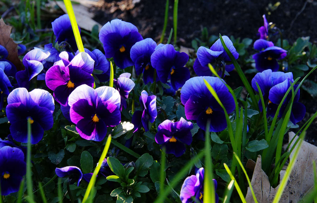 ��� ������ ������� ����� �������  �� PhotoGeek.ru #������ ��� �������