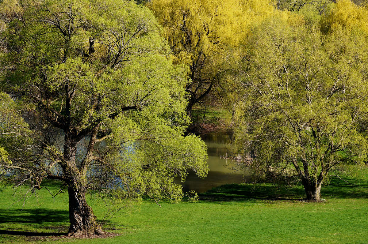 ������ ���������� ����� �������  �� PhotoGeek.ru #������ ��� �������