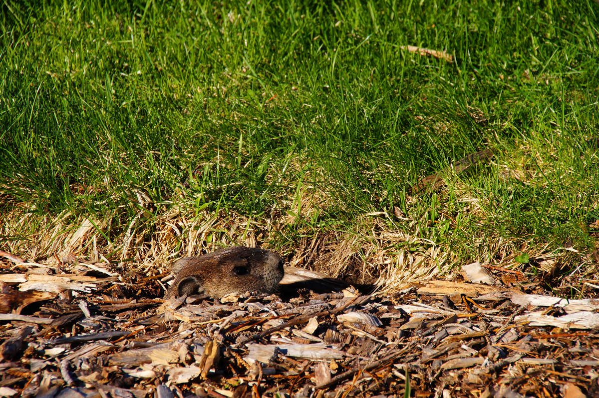 ��� ����� - ����� ����� ����� �������  �� PhotoGeek.ru #�������� ��� #������ ��� �������