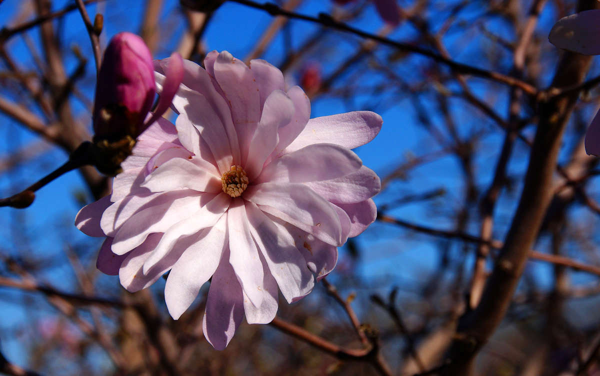 ������� ���� ����� �������  �� PhotoGeek.ru #������ ��� �������