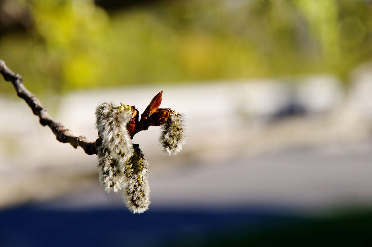 �������� ����� ����� �������  �� PhotoGeek.ru #������ ��� �������