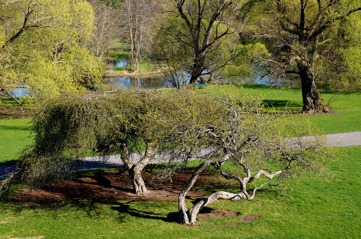 �������� ����� �������  �� PhotoGeek.ru #������ ��� �������