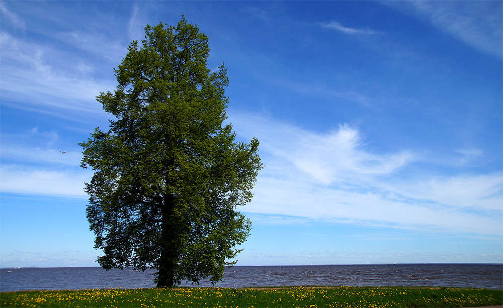 ��������� ����� �������  �� PhotoGeek.ru #������ ��� �������