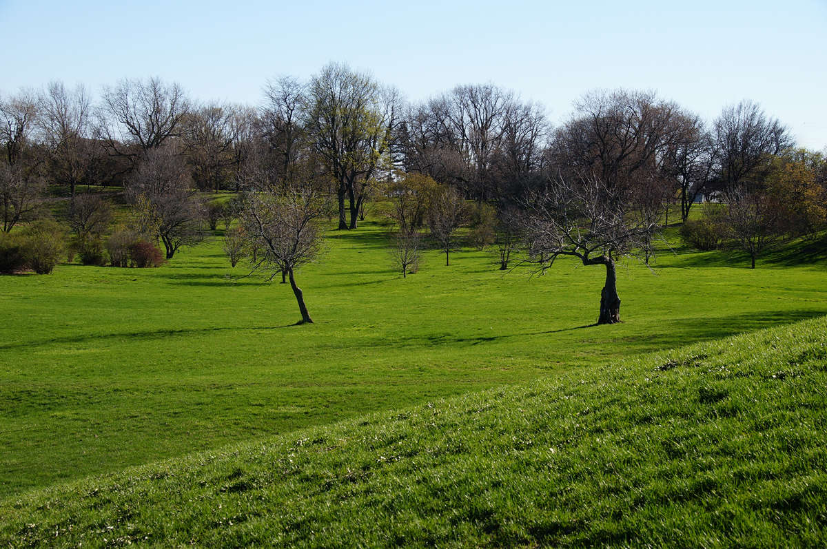 �������� �������� � ���� ����� �������  �� PhotoGeek.ru #������ ��� �������