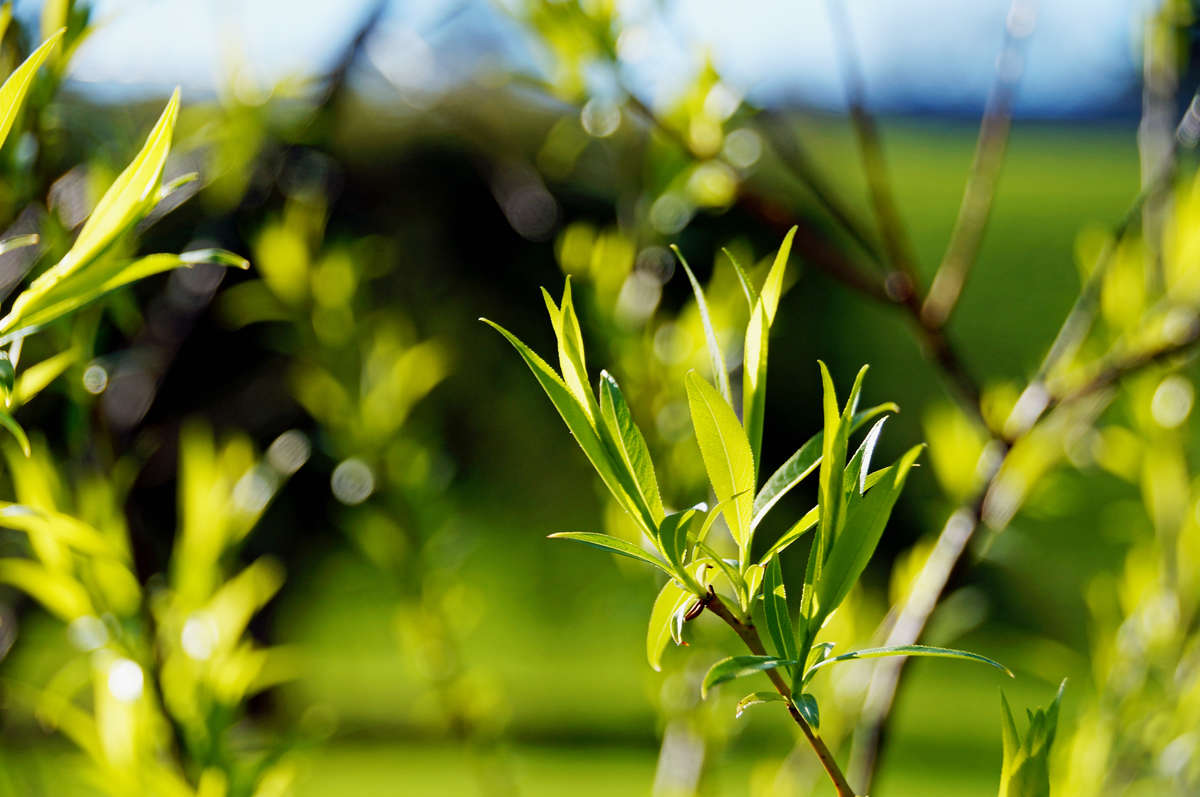 ������ ������ ����� �������  �� PhotoGeek.ru #������ ��� �������