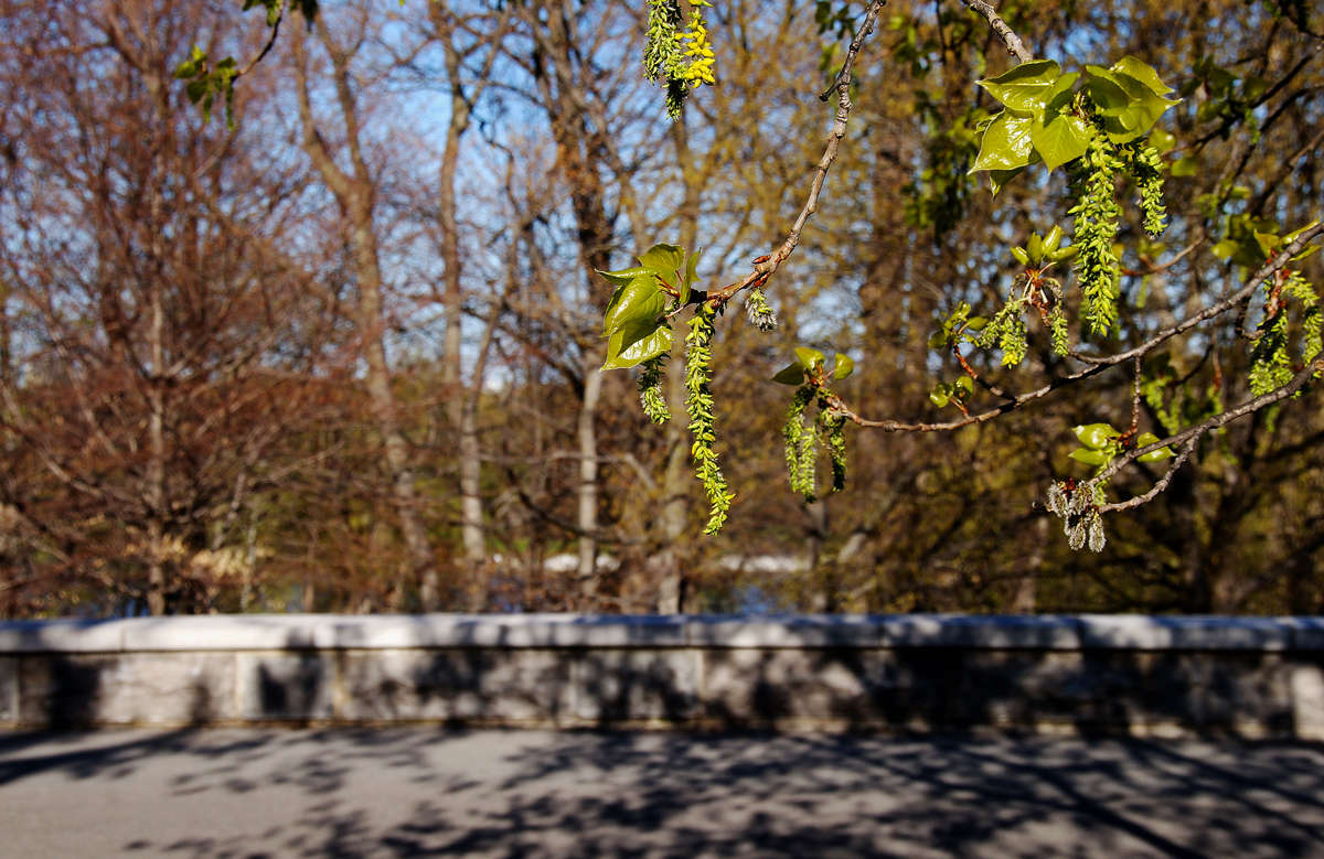 ������ ��������� � ������ ����� �������  �� PhotoGeek.ru #�������� ����������