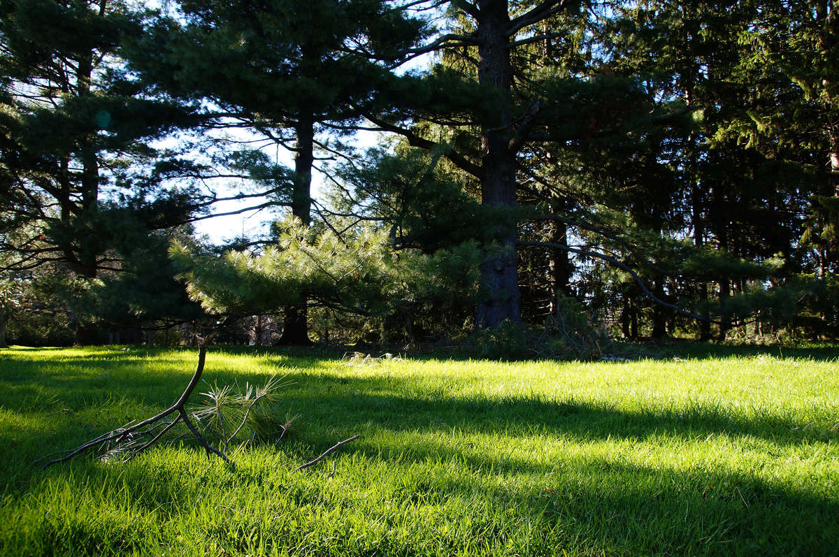 �� ������ ����� �������  �� PhotoGeek.ru #������ ��� �������