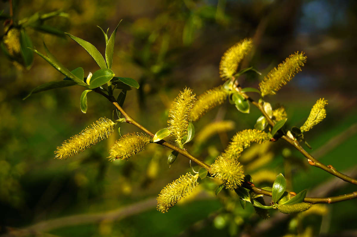 ����������� ������� ���� ����� �������  �� PhotoGeek.ru #������ ��� �������