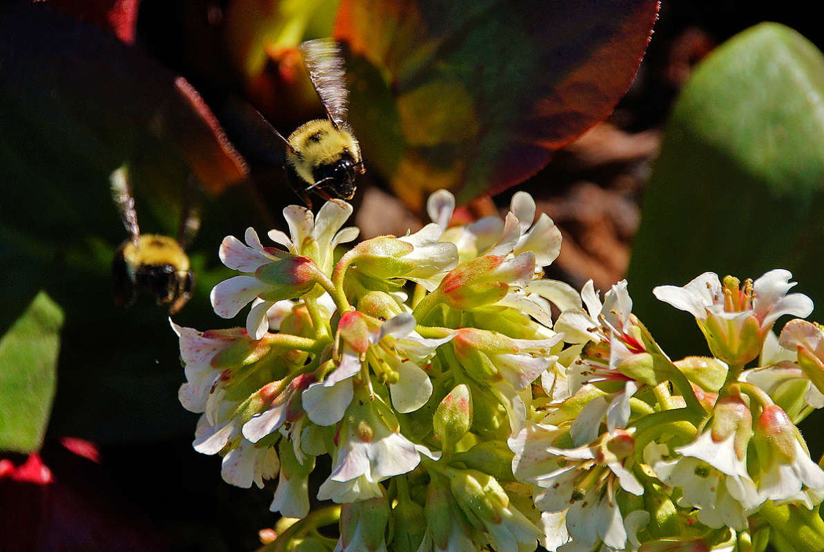 ������ ����������� ����� �������  �� PhotoGeek.ru #�������� ��� #������ ��� �������