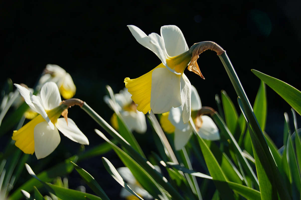 ���������� ����� �������  �� PhotoGeek.ru #������ ��� �������