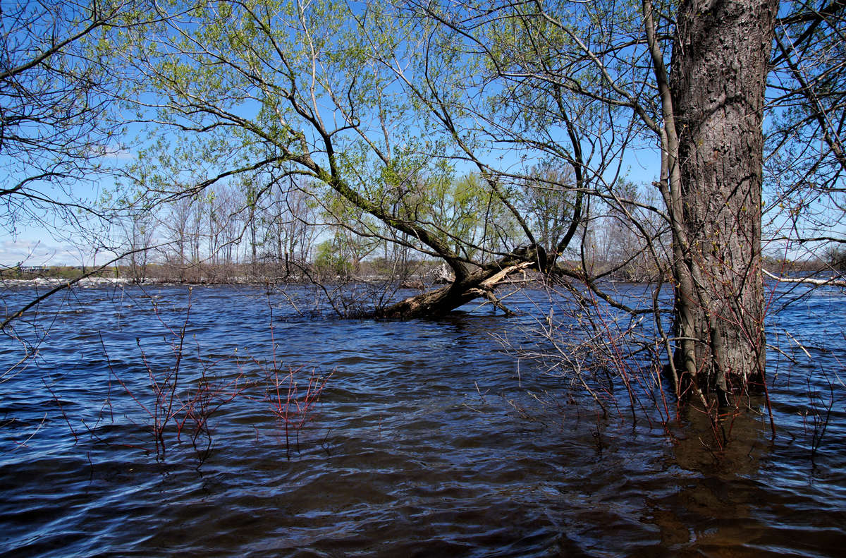 ����������� ����� �������  �� PhotoGeek.ru #������ ��� �������