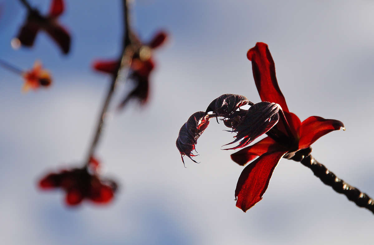 ������ ����� �������  �� PhotoGeek.ru #�������� ���