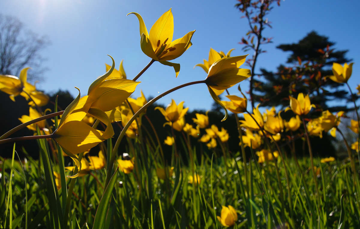 ������������� �������� ����� �������  �� PhotoGeek.ru #������ ��� �������