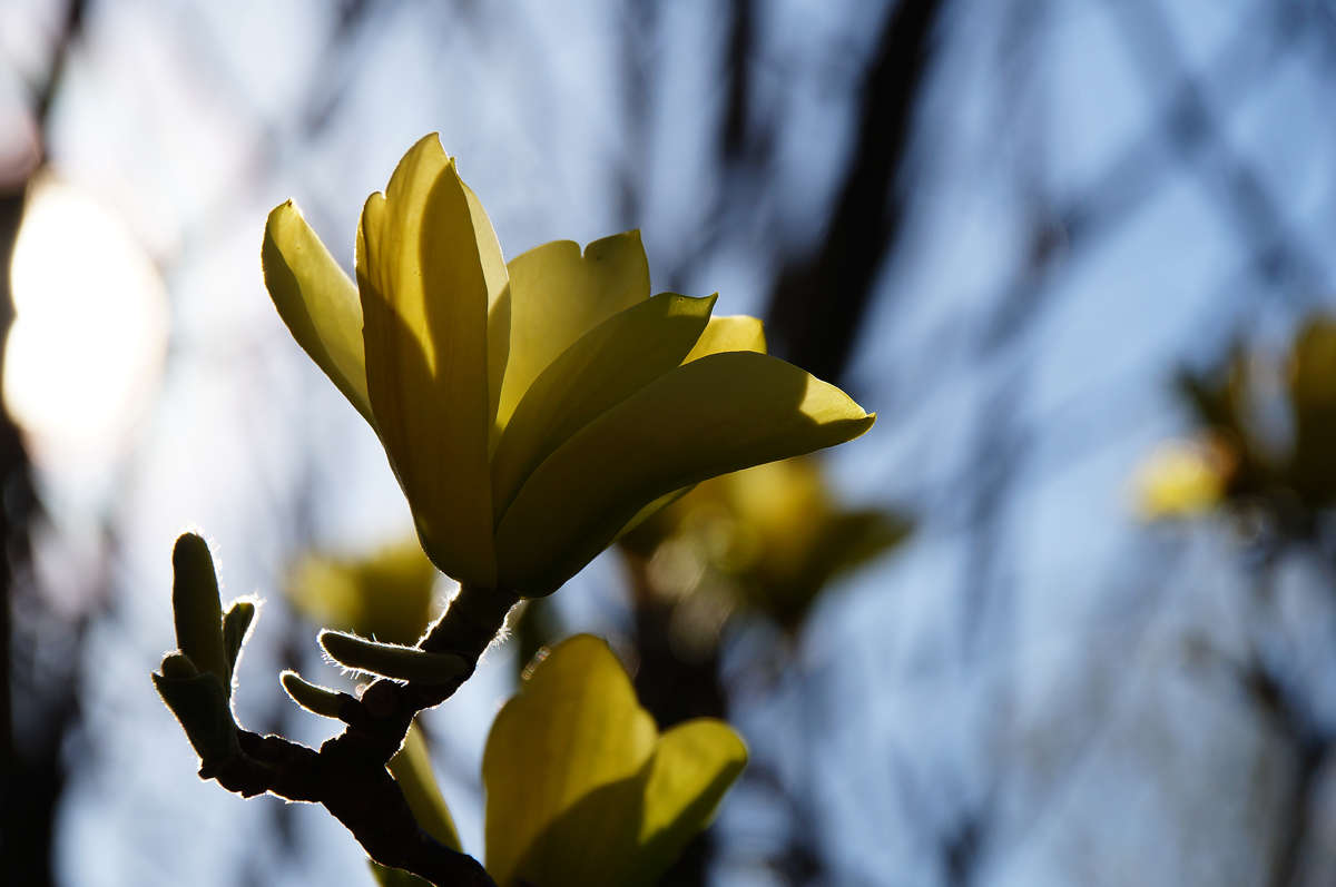 ����� ����� � ����� ����� �������  �� PhotoGeek.ru #������ ��� �������