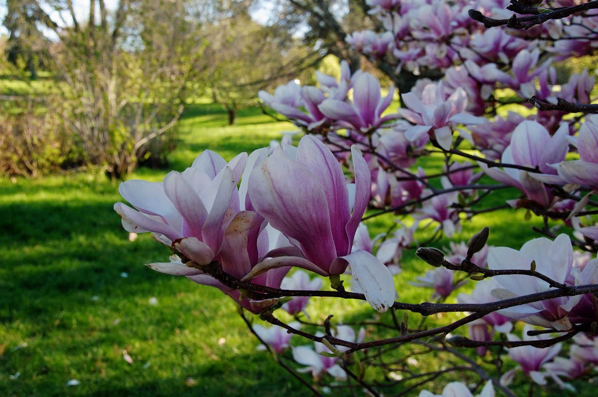 �� ��������� ���� ����� �������  �� PhotoGeek.ru #������ ��� �������