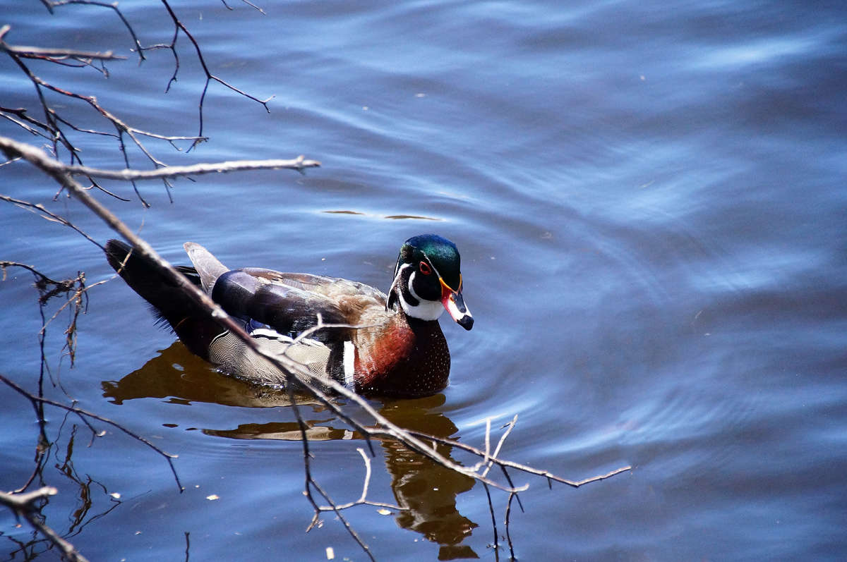 ������ ��������� ����� �������  �� PhotoGeek.ru #�������� ���