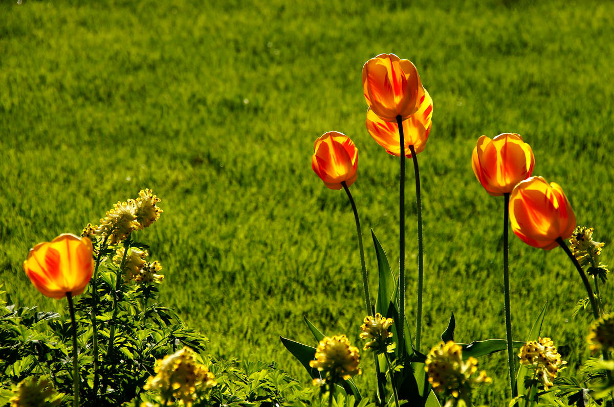 ������ ���� ����� �������  �� PhotoGeek.ru #������ ��� �������