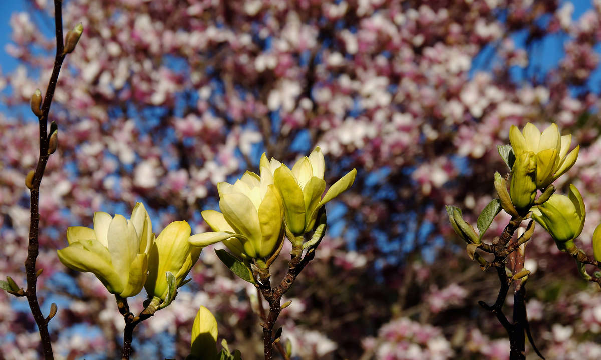 ������ � ������ ����� �������  �� PhotoGeek.ru #������ ��� �������