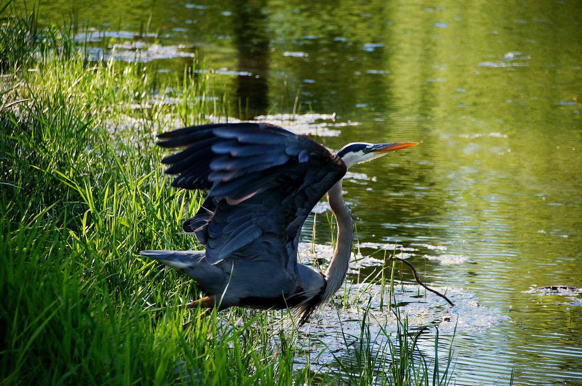 ���� �����!!! ����� �������  �� PhotoGeek.ru #�������� ���