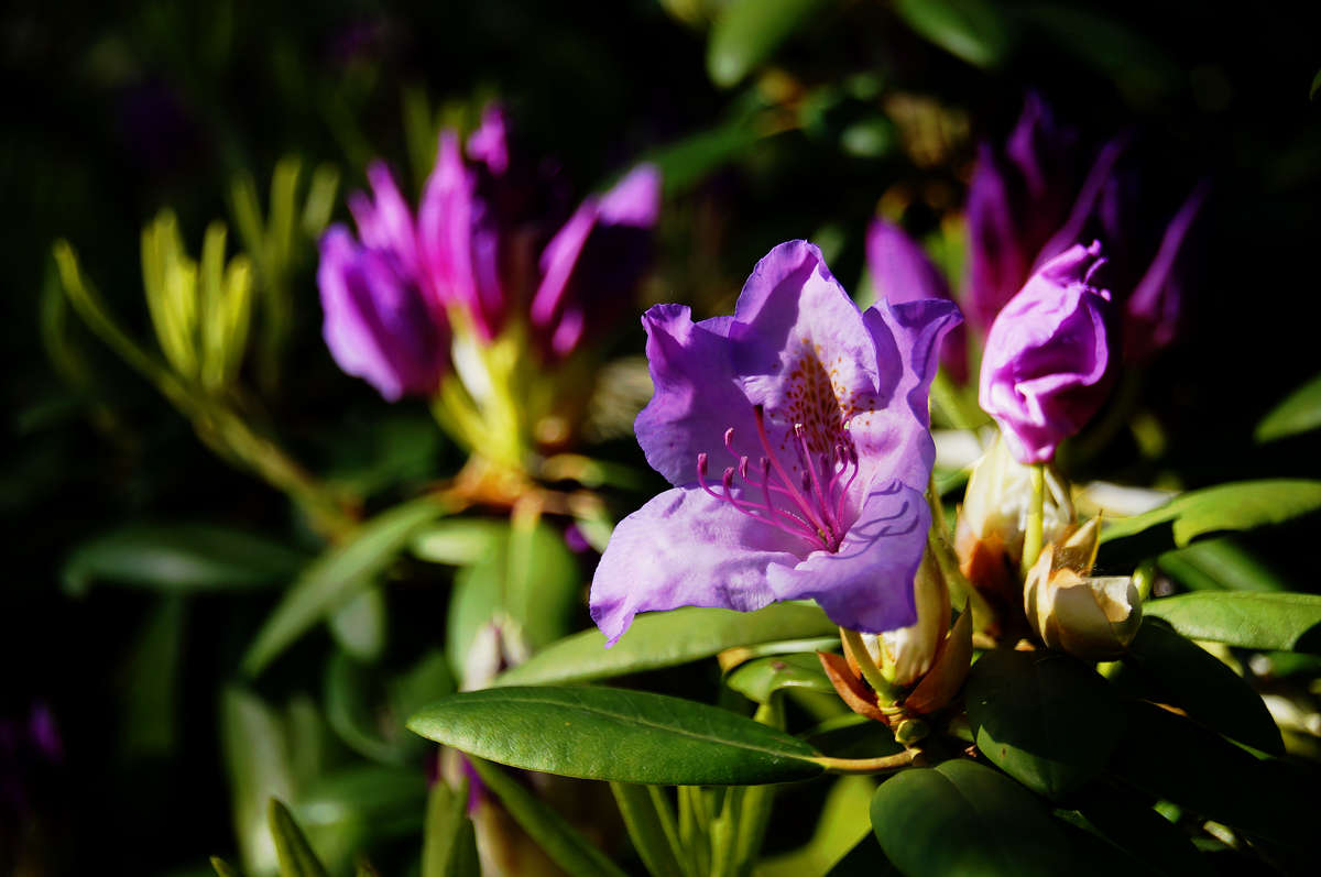 ���� ���� ������������ ����� �������  �� PhotoGeek.ru #������ ��� �������