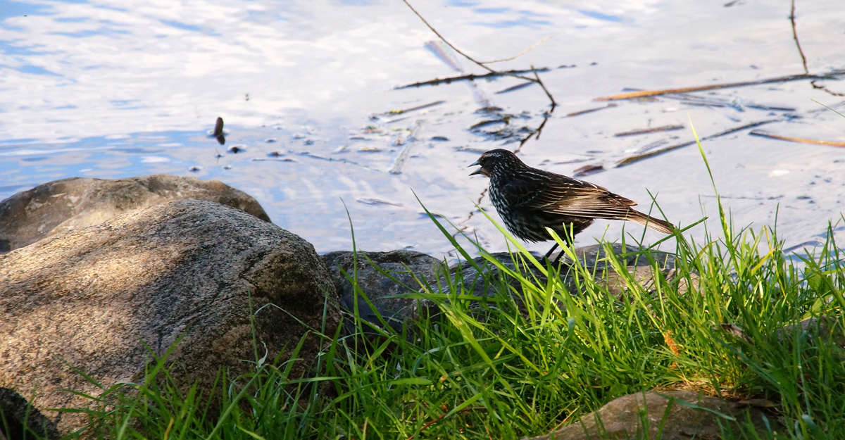 ������ �������� ����� ����� �������  �� PhotoGeek.ru #�������� ���