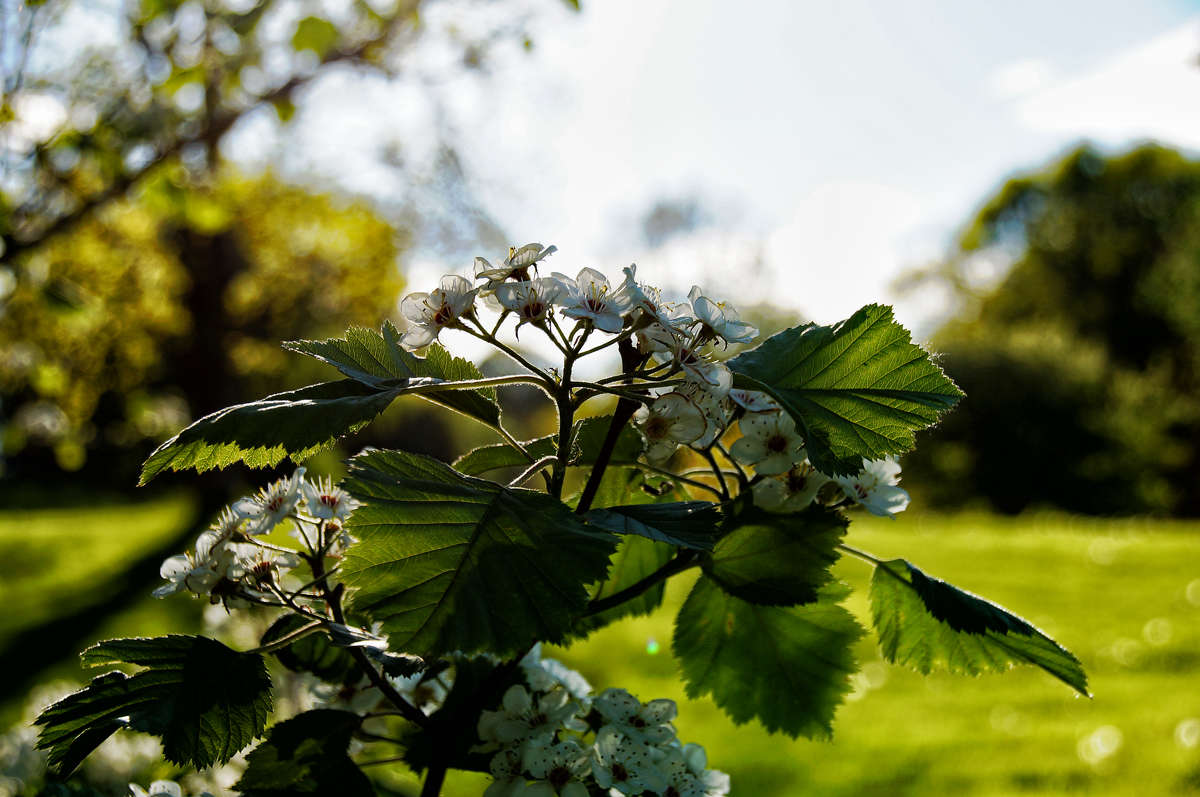 ����� � ������ ����� �������  �� PhotoGeek.ru #������ ��� �������